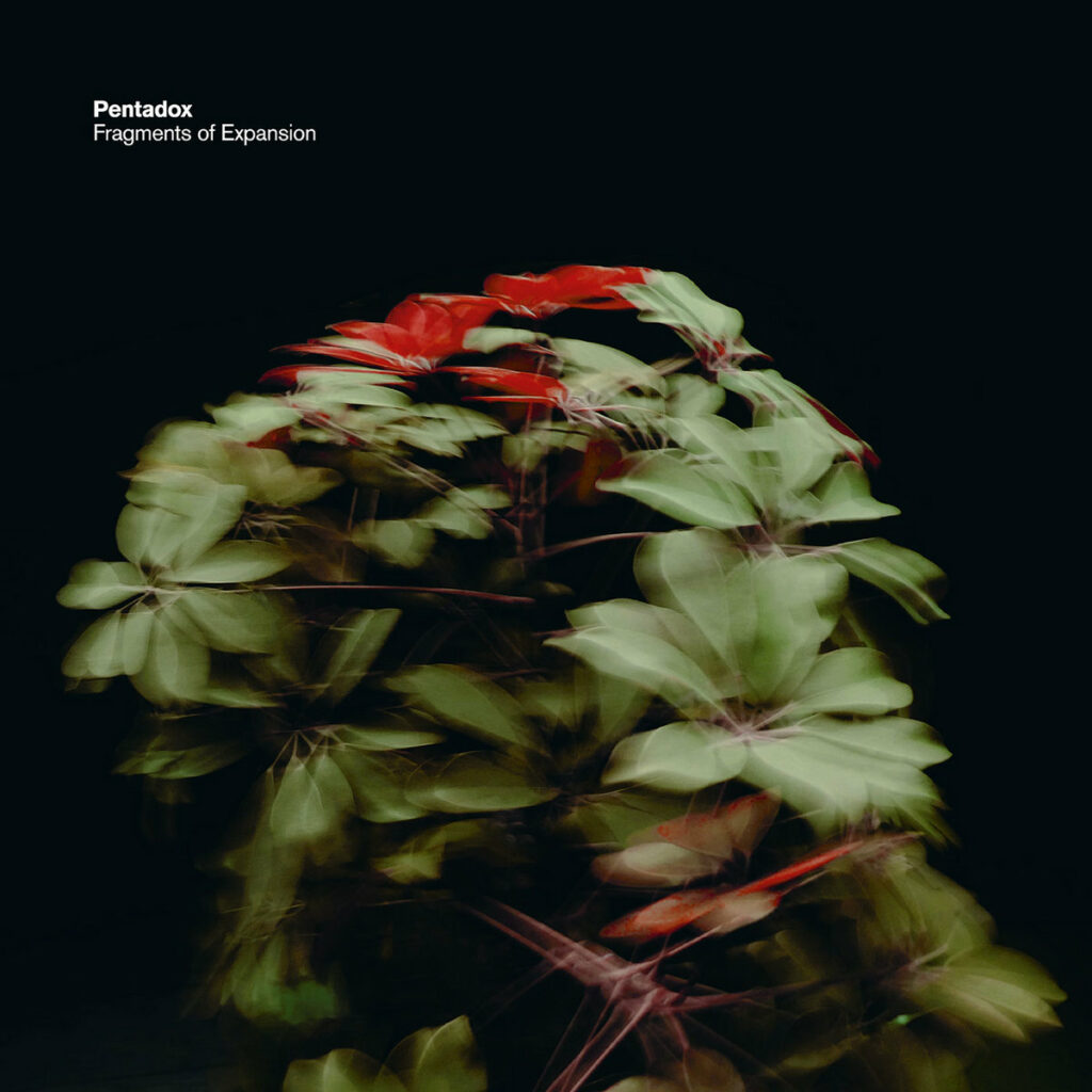 pentadox